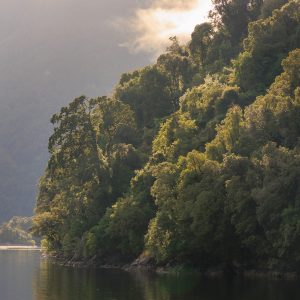 Fiordland Expedition Cruise